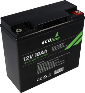 EcoLine - Batterie AGM 12V - 19AH VRLA - 181 x 77 x167 - Batterie à décharge profonde